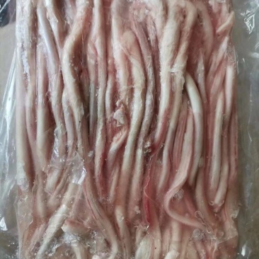 猪鞭300条，400条最新日期！现场实拍！