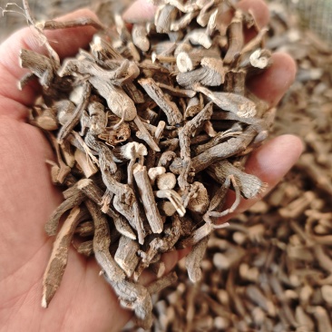 绞股蓝根1公斤中药材绞股兰纹股蓝股胶蓝胶股蓝交股