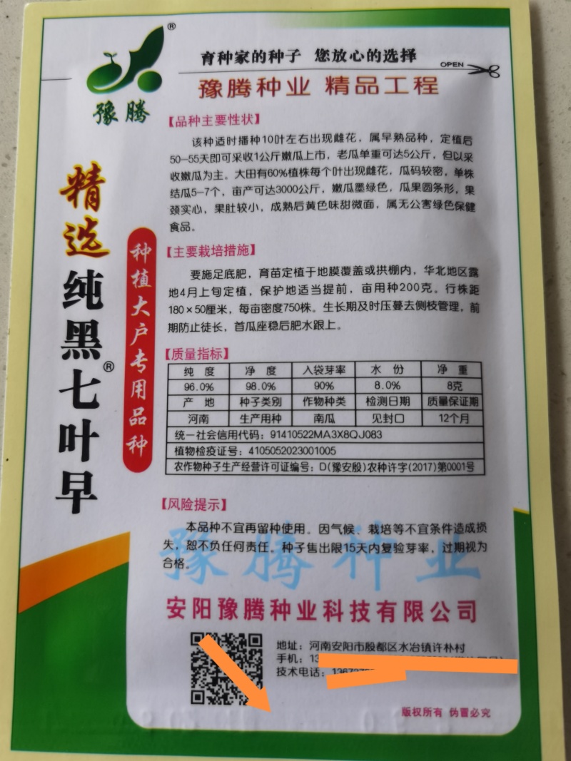 精选纯黑七叶早南瓜种子抗病种植大户专用品种黑青南瓜早熟品