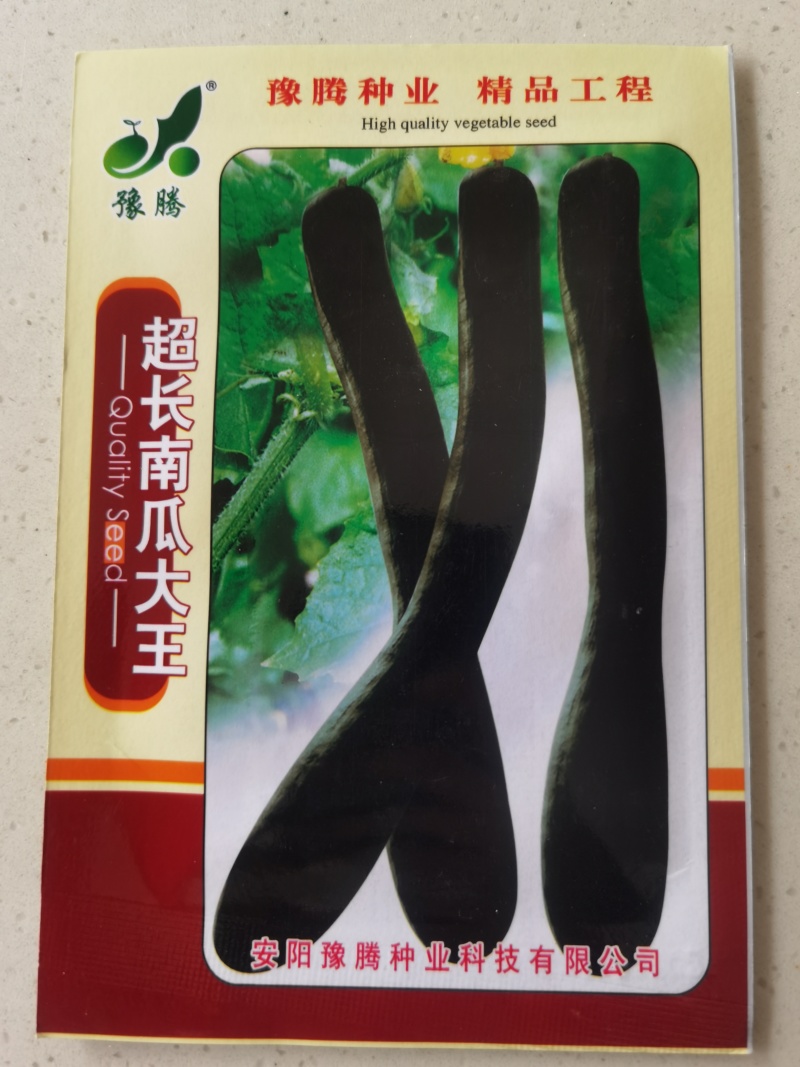 精选纯黑七叶早南瓜种子抗病种植大户专用品种黑青南瓜早熟品