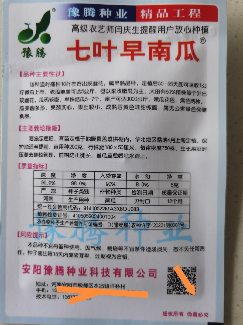 精选纯黑七叶早南瓜种子抗病种植大户专用品种黑青南瓜早熟品
