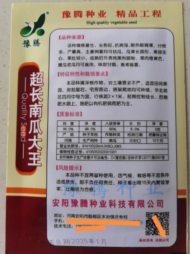 精选纯黑七叶早南瓜种子抗病种植大户专用品种黑青南瓜早熟品