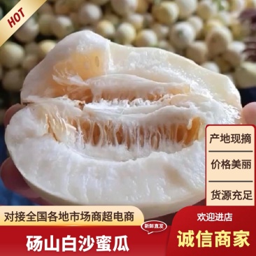 砀山小白瓜白沙蜜瓜货源充足保证质量，全国发货