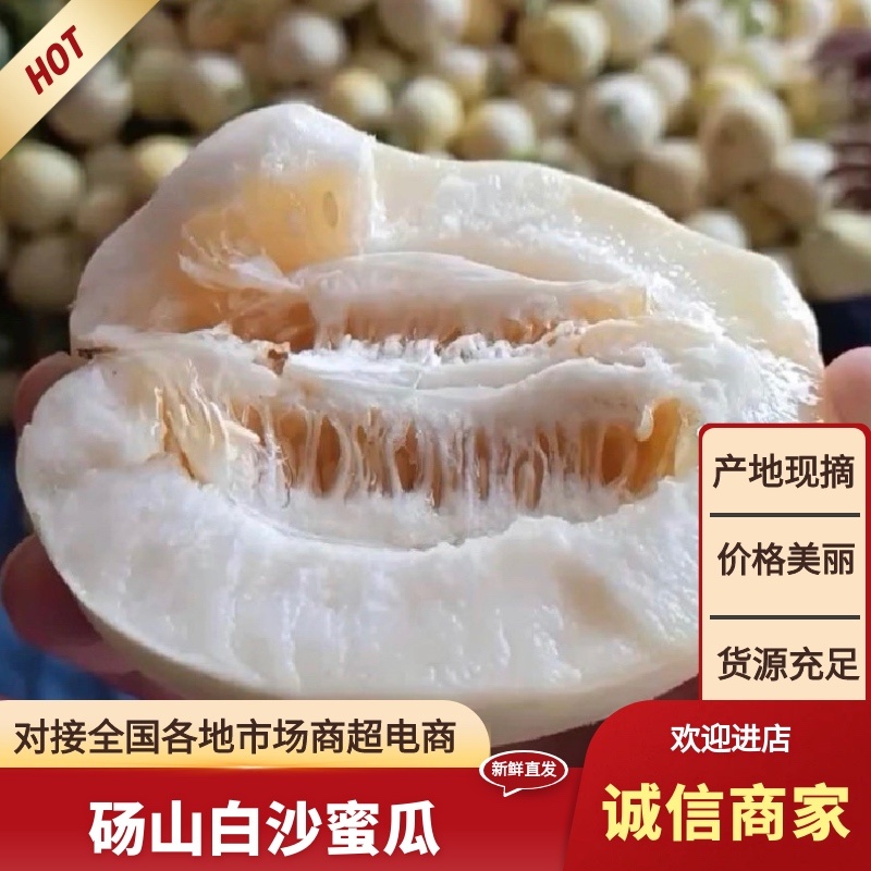 砀山小白瓜白沙蜜瓜货源充足保证质量，全国发货