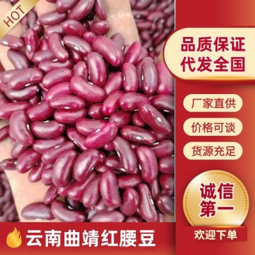红腰豆云南本地货新货颗粒饱满货量大全国接单按需求分拣接加工
