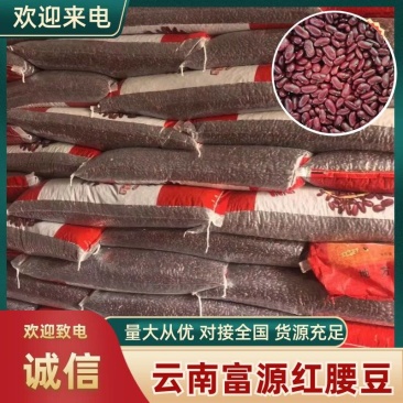 红腰豆云南红腰豆，红腰豆质量保证，欢迎各界客商咨询联系
