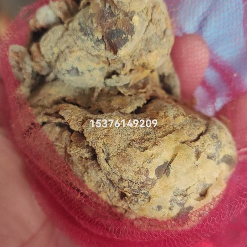 鸡宝有要的请联系，***********