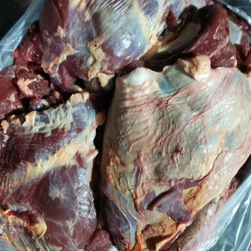 本地黄牛牛后单出精修有长期稳定供应能
