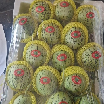 产地香瓜大量供货，市场货，超市货。电商货，大量供货，产地直销