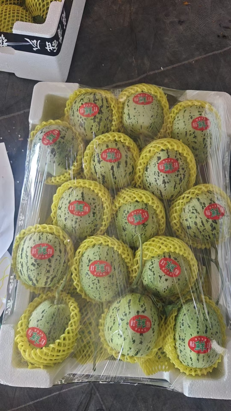 产地香瓜大量供货，市场货，超市货。电商货，大量供货，产地直销