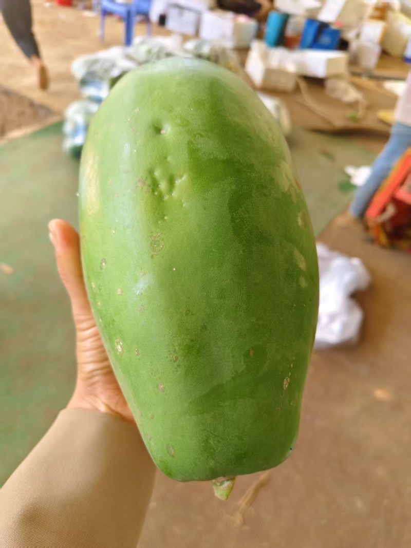 云南红心木瓜
