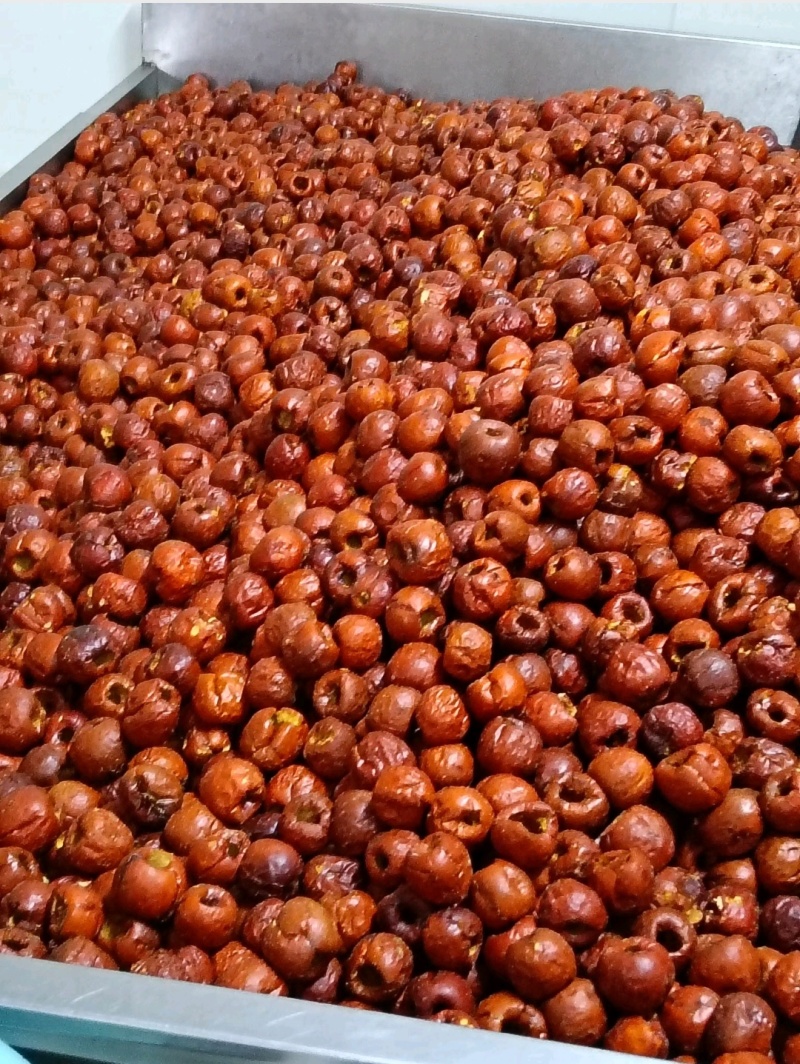 （热卖）黄骅脆冬枣价格美丽货量充足可视频看货欢迎咨询