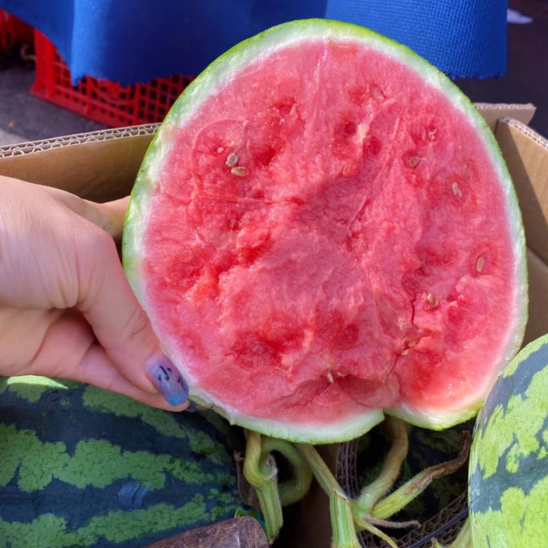麒麟西瓜无籽西瓜有籽西瓜大量供应品质保证