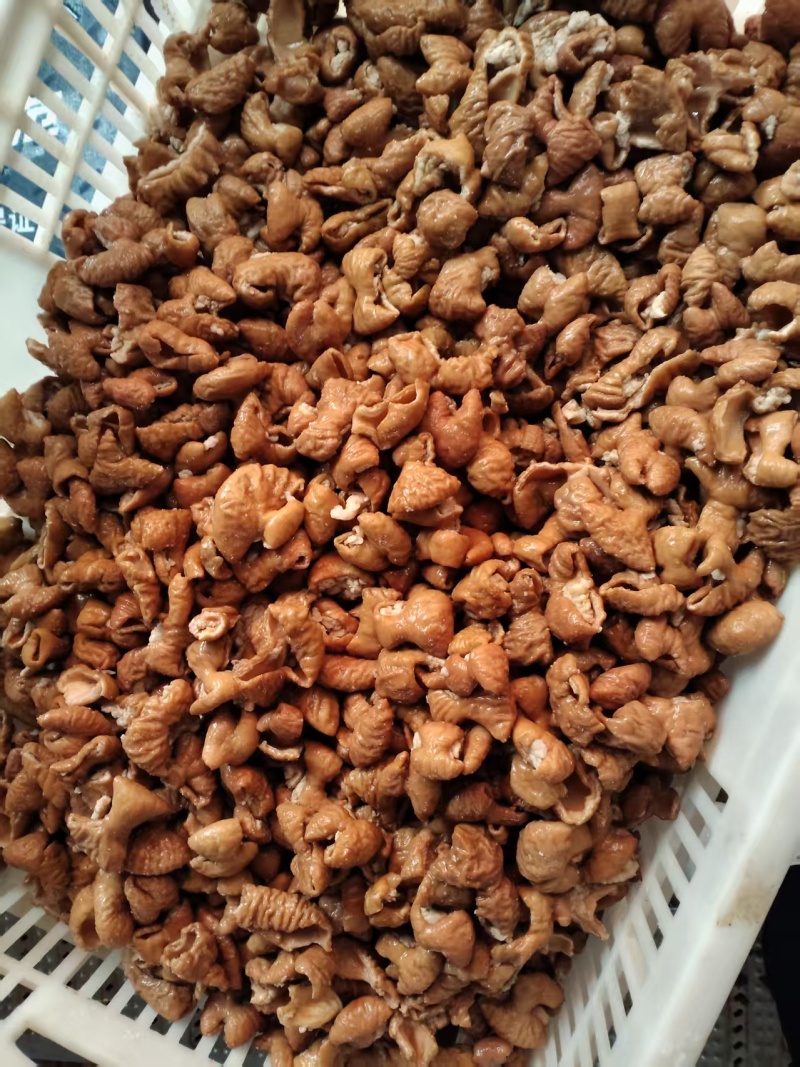 无油鲜卤肥肠段纯干肥肠鸡肥肠鱼干锅肥肠专用卤味