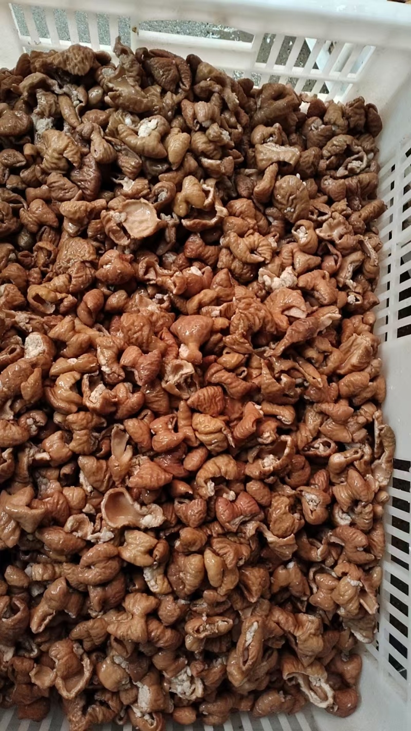 无油鲜卤肥肠段纯干肥肠鸡肥肠鱼干锅肥肠专用卤味