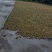 湖南土山茶油