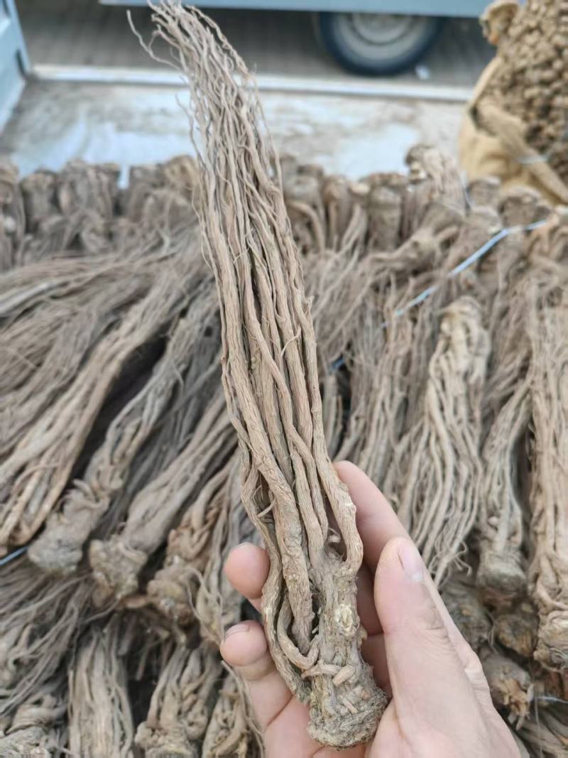 甘肃岷县当归片当归条，产地直发，品质保证，欢迎老板来电洽谈