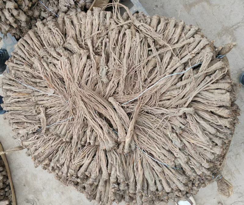 甘肃岷县当归片当归条，产地直发，品质保证，欢迎老板来电洽谈