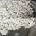 纯淀粉红薯淀粉品质保证价格量大可谈欢迎咨询