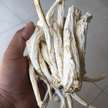 桔梗大条，陕西商洛去尾大条桔梗，含量高，欢迎各位老板光临