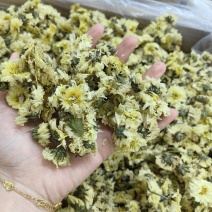 杭菊杭白菊无硫纯干泡水批发零售