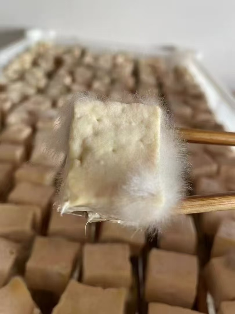 750g装姜丝无油霉豆腐美味手工食用辣酱鲜辣下饭霉豆腐