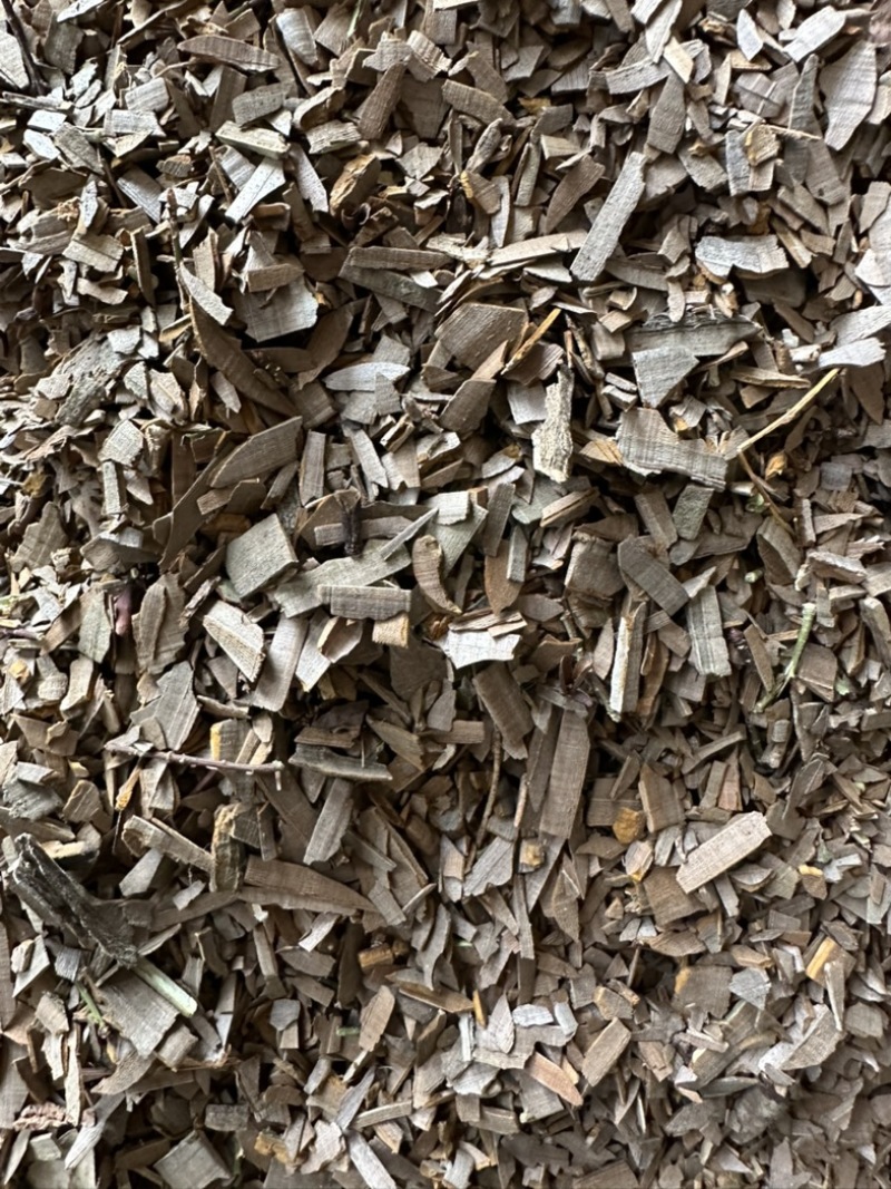 鬼箭羽，陕西鬼箭羽手工大片，产地直销，大货供应，