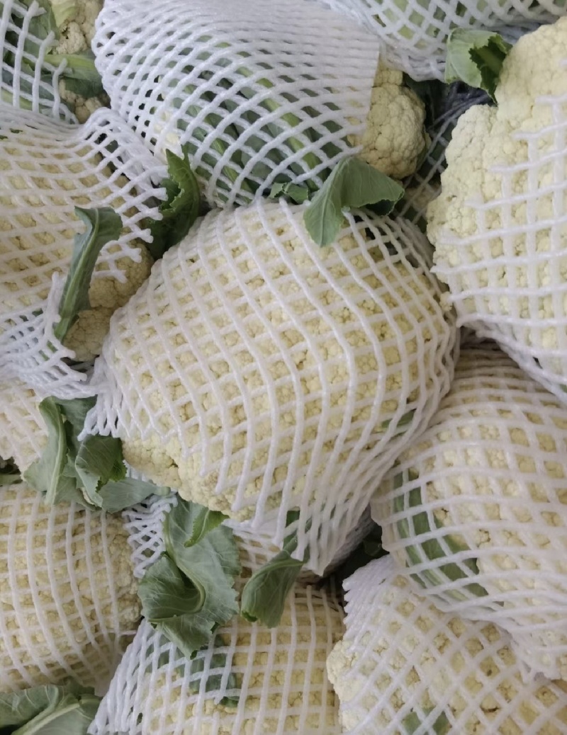 有机花菜精品蔬菜山东产区直发保质保量供货