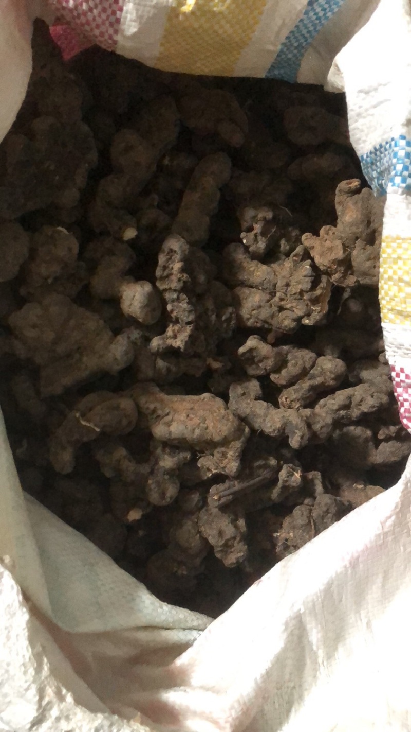 猪苓，陕西产地泥地猪苓个子，个头大形状好，欢迎购买