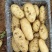 土豆山东土豆基地直发保质保量供货价钱实惠