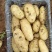 土豆山东土豆基地直发保质保量供货价钱实惠