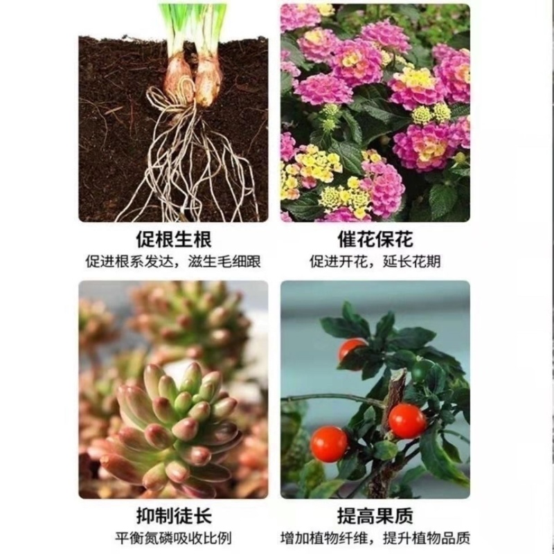 正品磷酸一铵农用叶面肥水溶肥氮肥高磷肥瓜果蔬菜花卉速溶肥