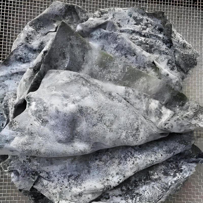精品半干海带头，很厚，质量好，颜色绿江湖地摊展销会超火爆