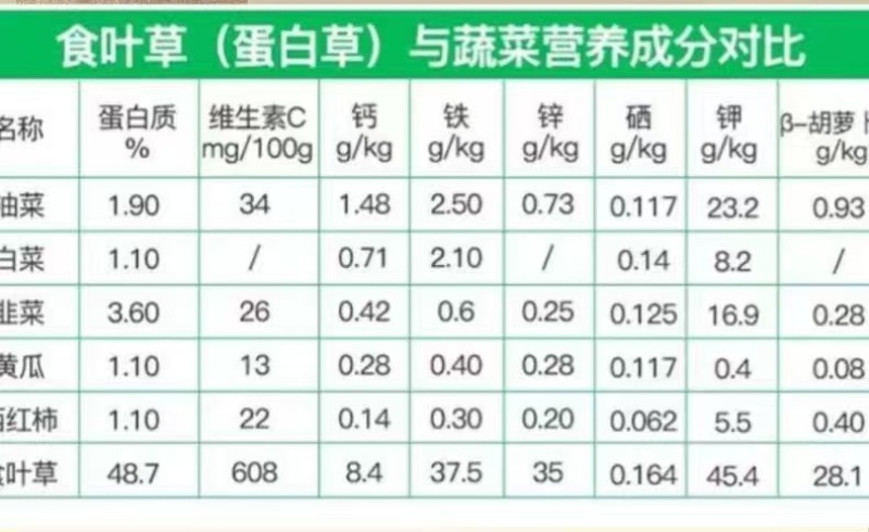 食叶草种食品级柏教授研究院引进一代种高蛋白全营养