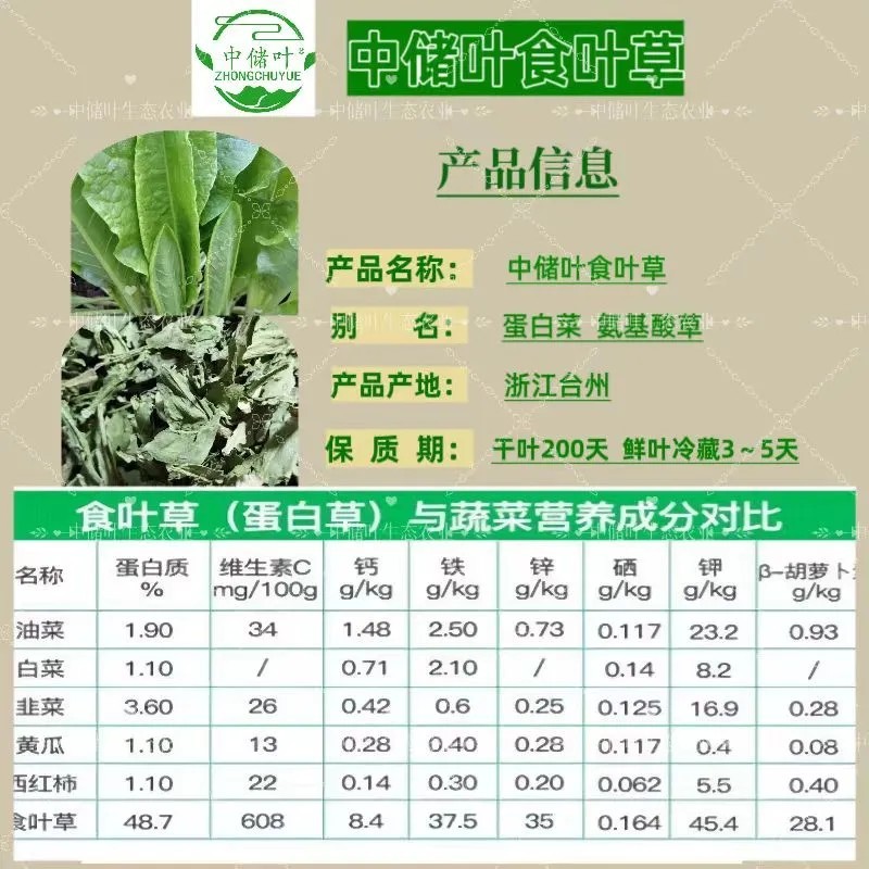 食用级精品食叶草干菜，可以直接打粉做梅干菜