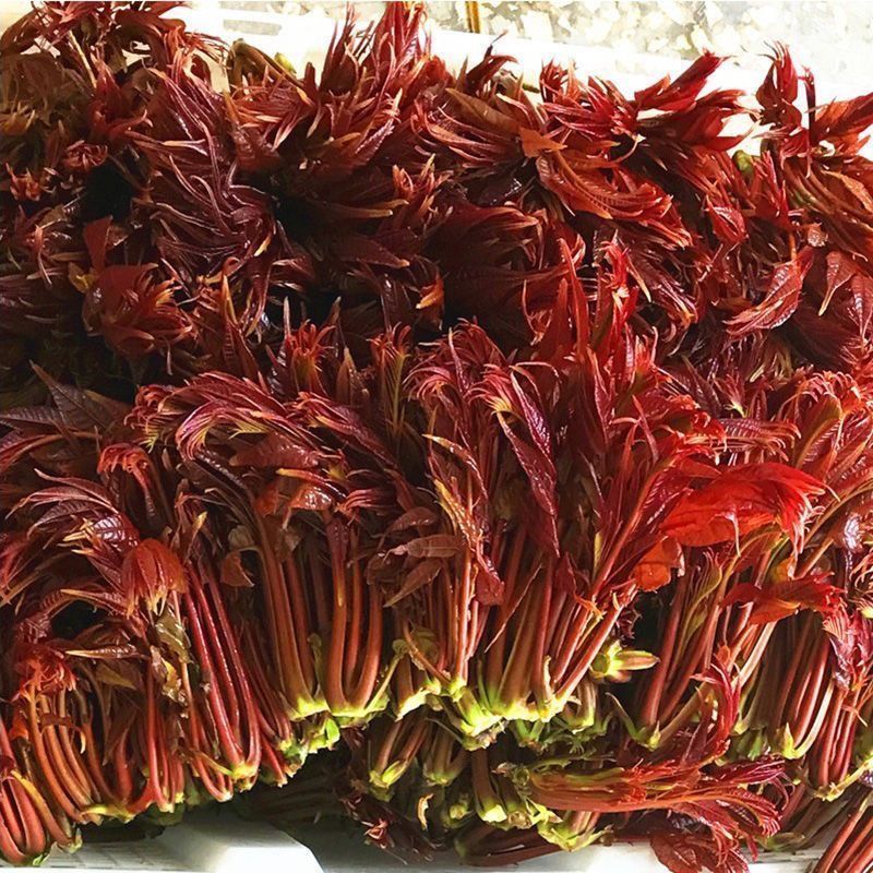 山东香椿芽红油香椿芽产地。对接电商市场要货，提前订可代发