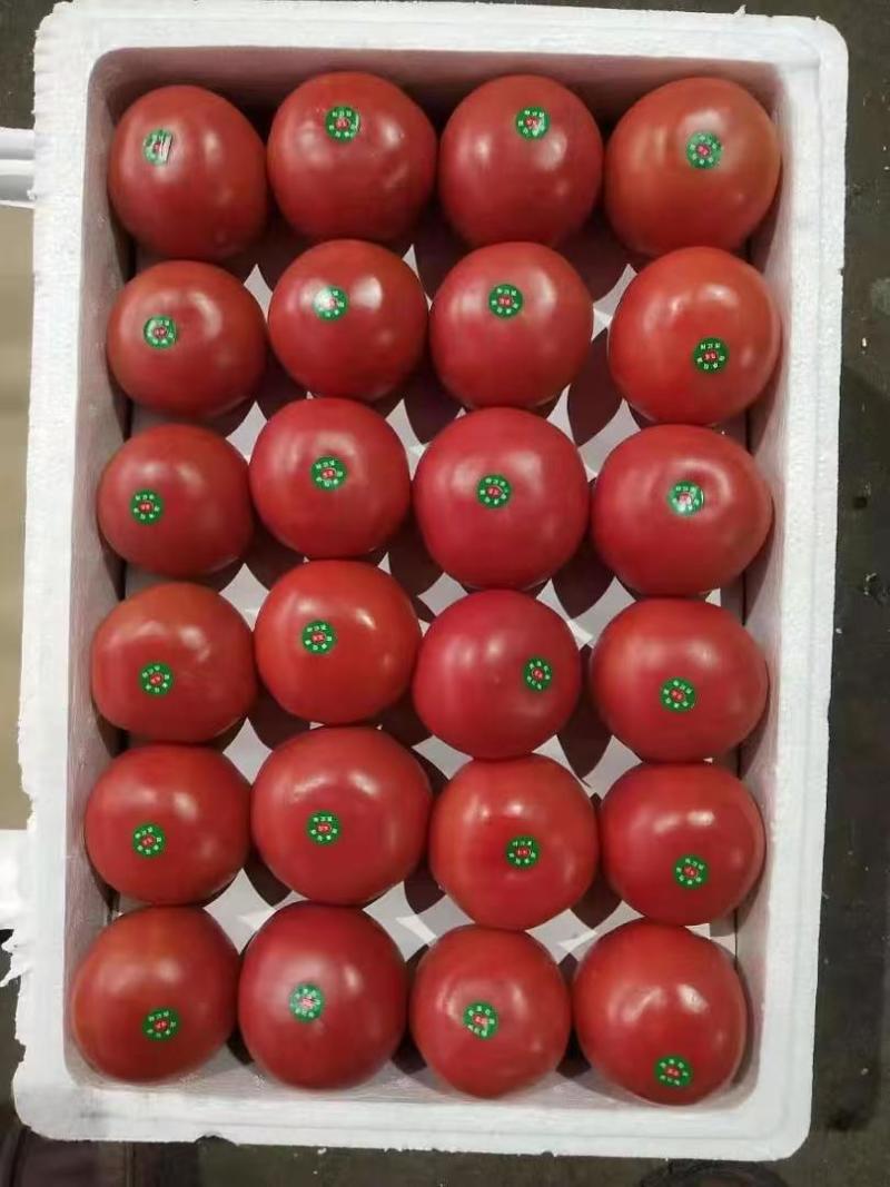 精品西红柿对接全国商超市场电商大量现货品质保