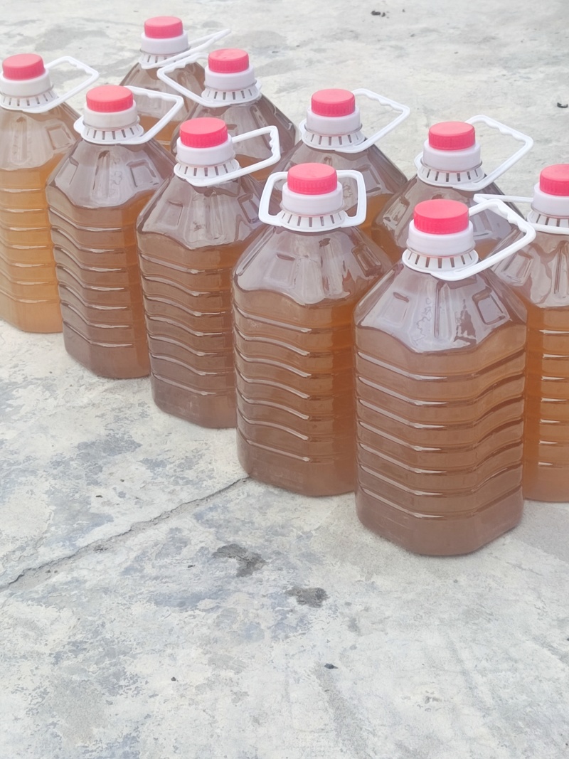 小籽茶油