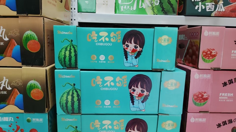 陕西渭南小糖丸西瓜新鲜大量上市，一手货源视频看货