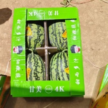 陕西渭南甘美4k西瓜新鲜大量上市，一手货源视频看货