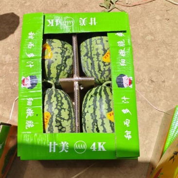 陕西渭南甘美4k西瓜新鲜大量上市，一手货源视频看货