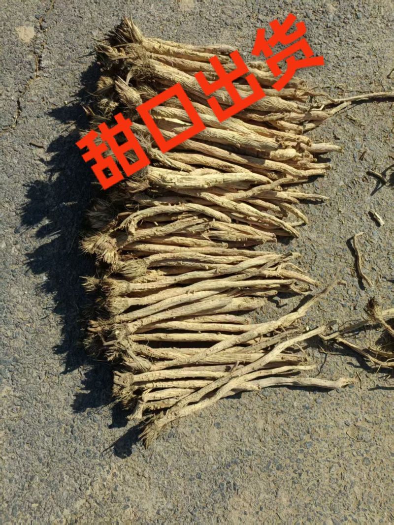 甜口防风，去尾，带头的，无硫，地摊推荐产品，质量有保障