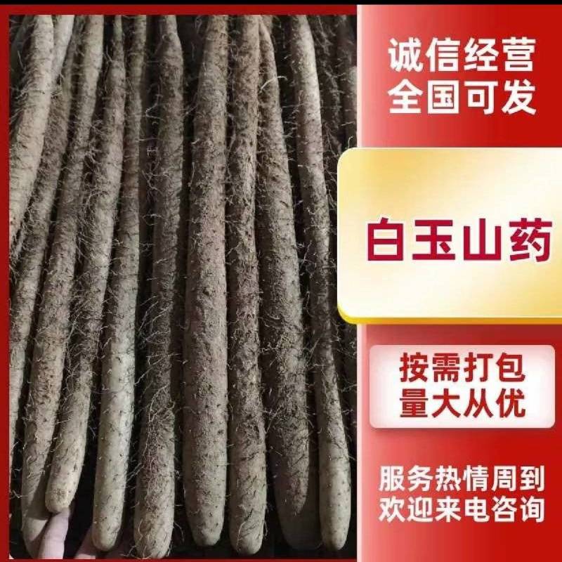 白玉山药量大从优品质优良价格美丽诚信经营