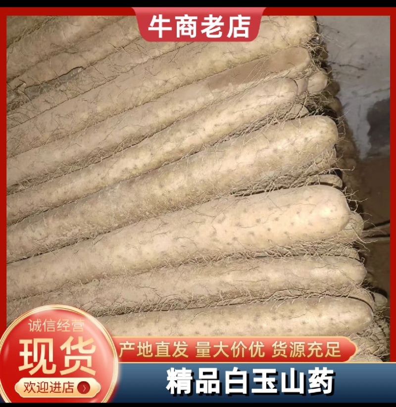 白玉山药品质保障量大从优牛商推荐货源充足