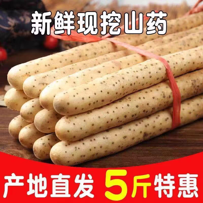 河北小白嘴山药，货源充足，供货稳定，欢迎全国采购商咨询