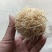 竹茹球竹茹丝现货供应实物实拍批发各种中药材