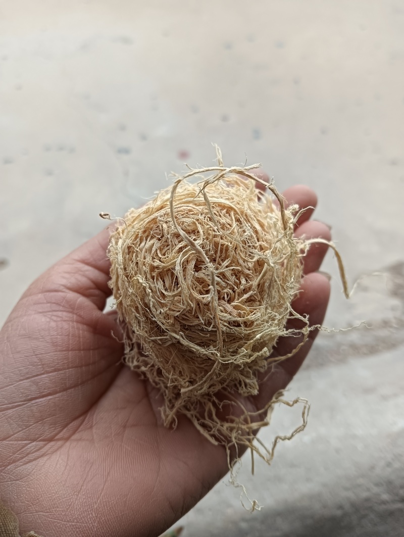 竹茹球竹茹丝现货供应实物实拍批发各种中药材
