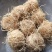 竹茹球竹茹丝现货供应实物实拍批发各种中药材