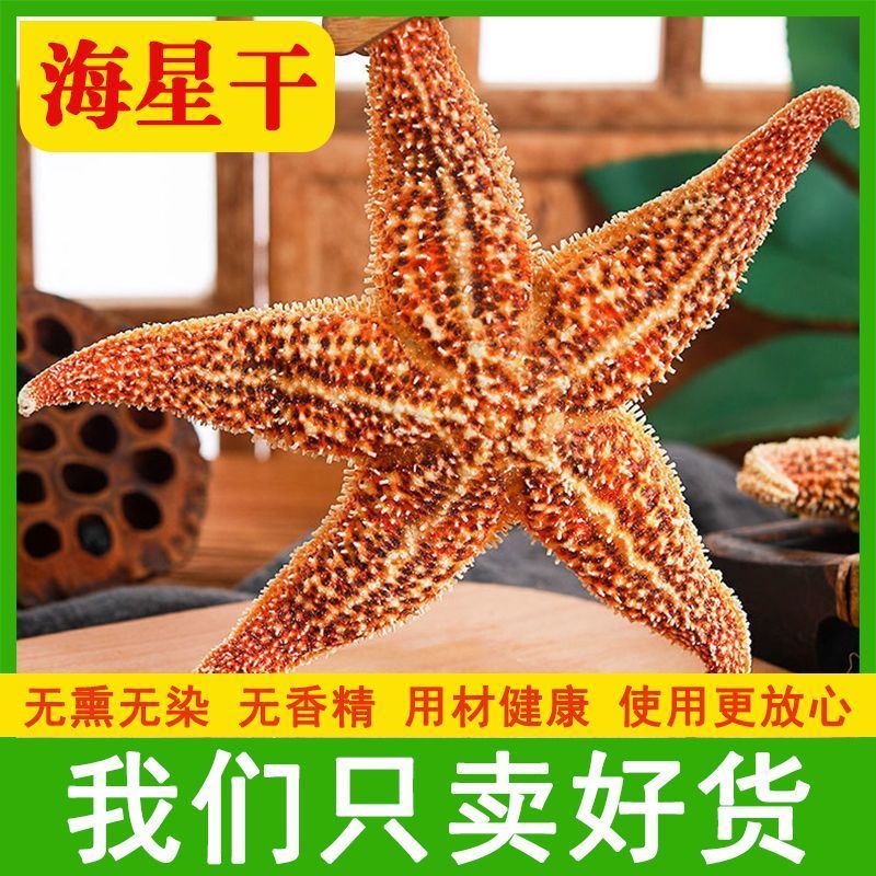 海星海五星海盘车海星干货正品煲汤泡酒