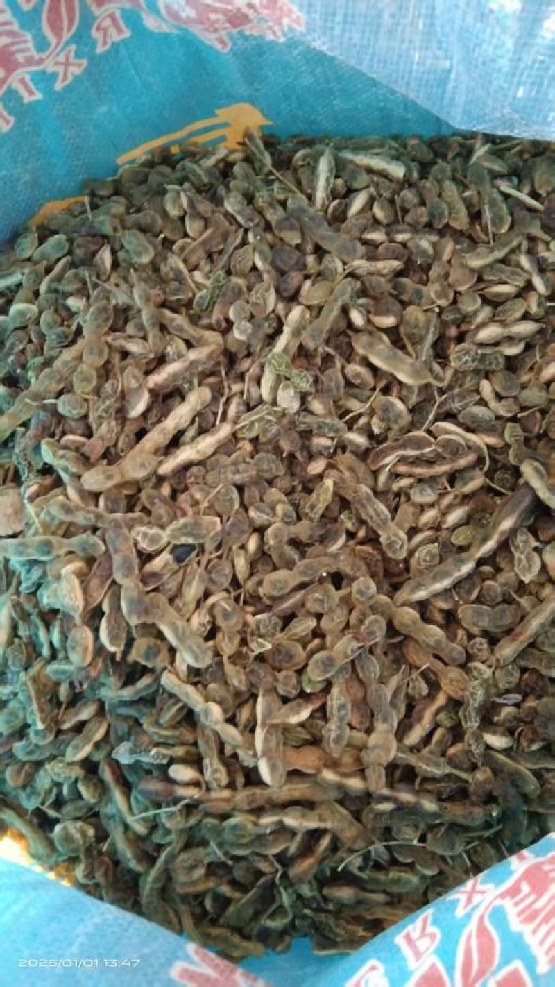 槐连豆大量有货，保质量，